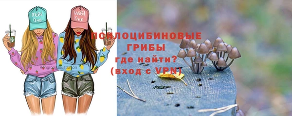 хмурый Дмитров