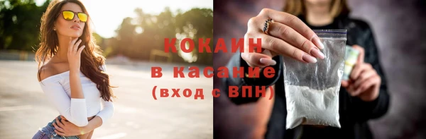 прущие грибы Чердынь