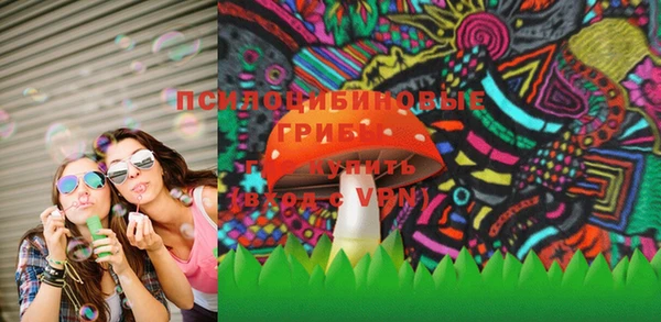 СК Дмитровск