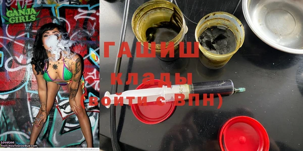 хмурый Дмитров