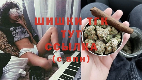 СК Дмитровск