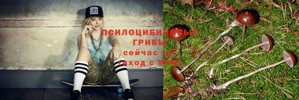 прущие грибы Чердынь