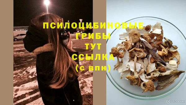 хмурый Дмитров
