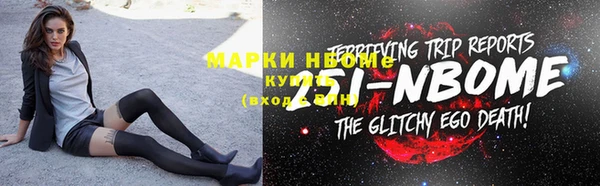 хмурый Дмитров